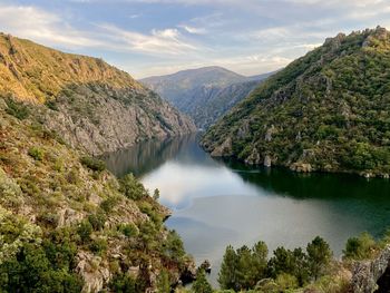 Scenic view of river amidst trees against sky