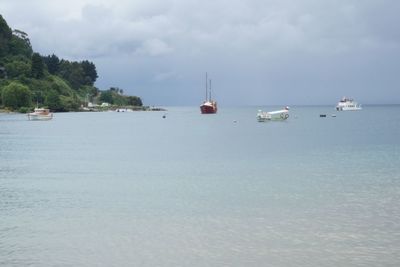 Sailboats in sea against sky