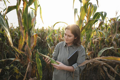 Woman with digital tablet examining maize plant in field