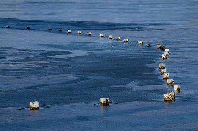 High angle view of birds perching on sea