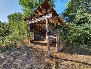 House on field against trees in forest