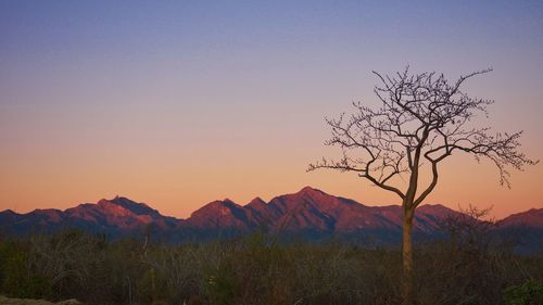 Scenic view of mountains against clear sky during sunset