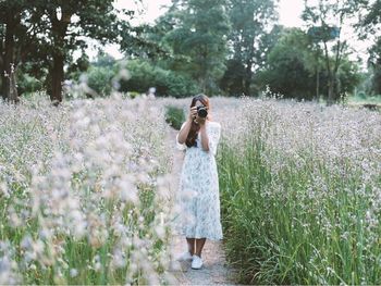 Woman photographing with standing amidst flowering plants