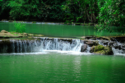 Scenic view of waterfall in forest