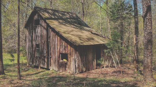 Old wooden house amidst trees on field