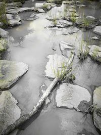 High angle view of stream