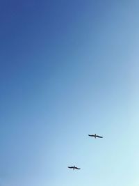 Low angle view of birds flying against clear blue sky