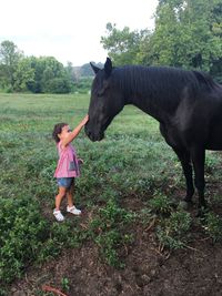 Full length of a horse in a field