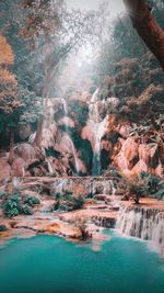 Scenic view of waterfall in forest