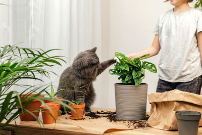 Side view of woman holding cat