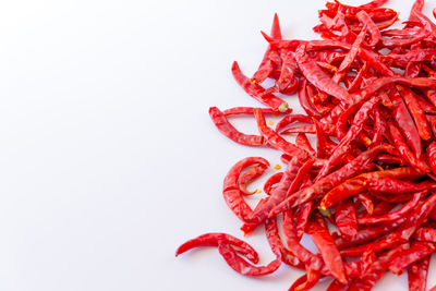 Close-up of red chili pepper against white background