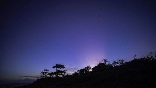 Low angle view of silhouette trees against sky at night