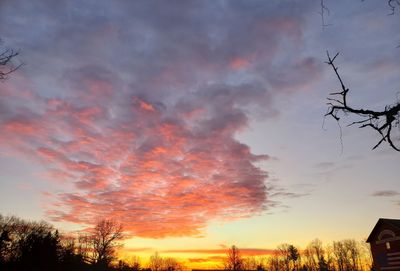 Low angle view of silhouette trees against dramatic sky