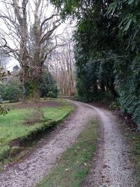 Dirt road amidst bare trees against sky