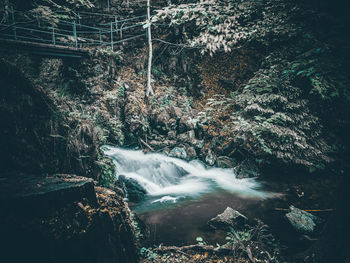 View of waterfall in forest