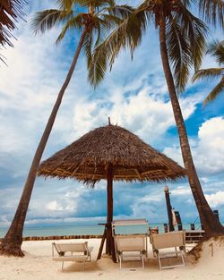 Lounge chairs and palm trees on beach against sky