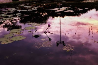 Scenic view of lake