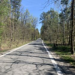 Empty road amidst trees in forest against sky