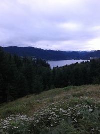 Scenic view of landscape against sky