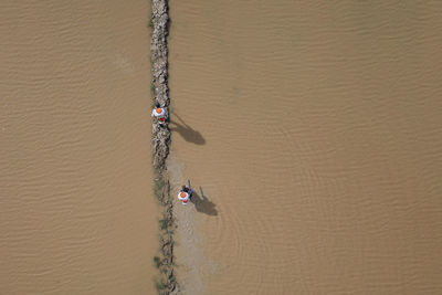 Aerial view of people walking on land
