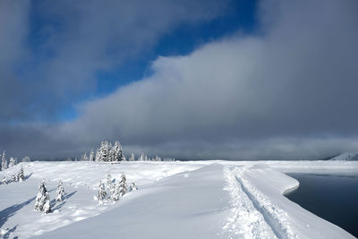 Backcountry skiing track in deep snow along the lake. snow covered christmas trees. sunny and clouds