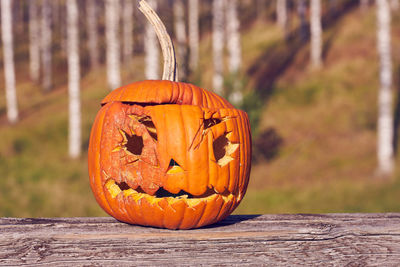 Close-up of pumpkin on wood during autumn