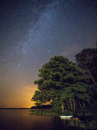 Scenic view of tree against sky at night