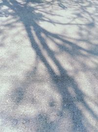 High angle view of shadow on snow