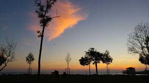 Silhouette of trees at sunset