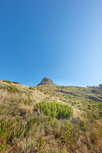 Scenic view of landscape against clear blue sky