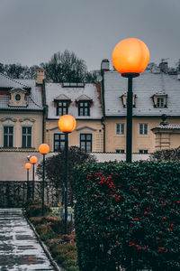 Street lights and trees against buildings