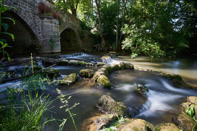 Arch bridge over river in forest