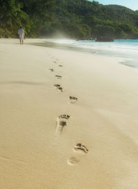 Rear view of man walking on beach