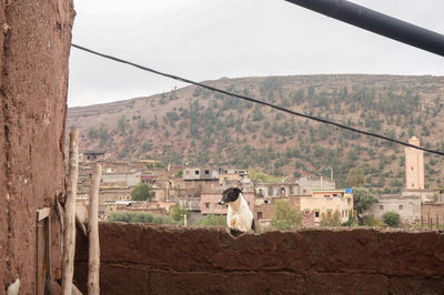 View of buildings and mountains against sky