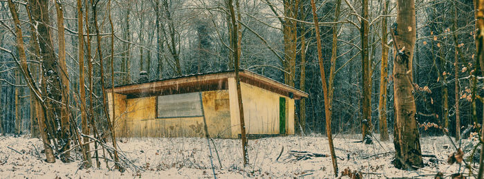 Abandoned house in forest during winter