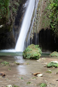 Scenic view of waterfall in forest