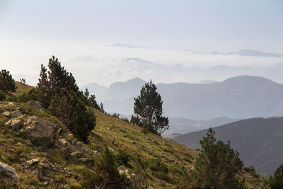 Wide view of far mountains with low clouds from high point of view and trees in middle plane