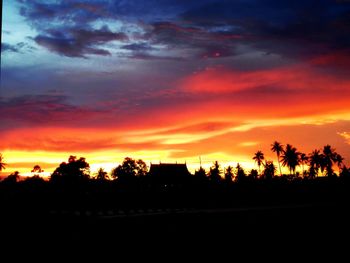 Silhouette trees against dramatic sky during sunset