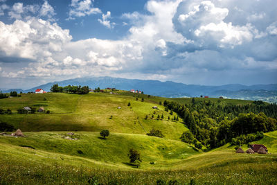 Scenic view of field against sky