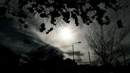 Low angle view of trees against cloudy sky