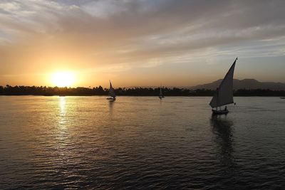 Sailboats sailing in river at sunset