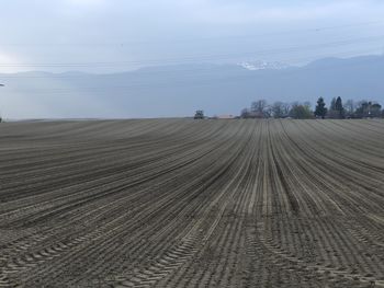 Scenic view of agricultural field against sky