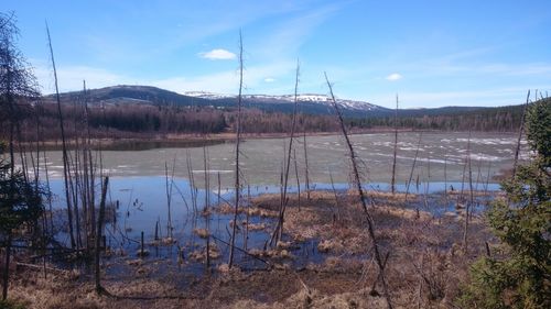 Scenic view of lake against sky