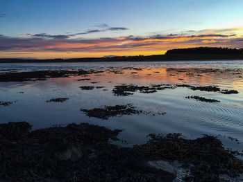 Scenic view of sea at sunset