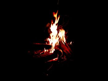 Close-up of bonfire at night