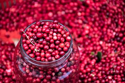 Red fresh healthy cranberries and lingonberries in a street food market ready to sell and eat