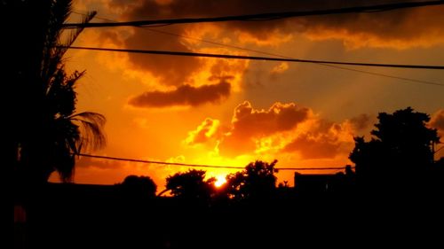 Silhouette of trees at sunset