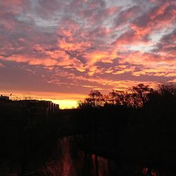 Silhouette trees against dramatic sky during sunset