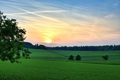 Scenic view of field against sky during sunset