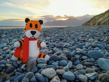 Stones on beach during sunset